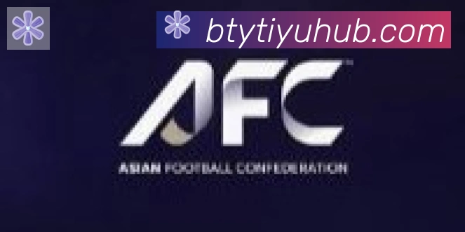 B体育官网合作伙伴